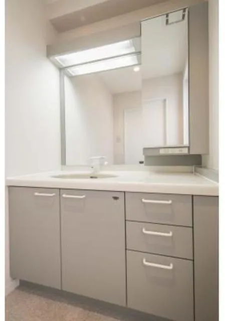 Orchid Yoyogi Uehara - Interior - ["Bathroom cabinet", "Sink", "Plumbing fixture"]