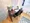 Mynavi STAY Tachiaigawa 2 - Interior - ["Furniture", "Flooring", "Floor"] thumbnail