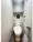 Comforia Liv Hatchobori - Interior - ["Toilet seat", "Toilet", "Plumbing fixture"] thumbnail