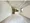 Comforia Liv Bunkyo Gokokuji - Interior - ["Flooring", "Floor", "Wood flooring"] thumbnail