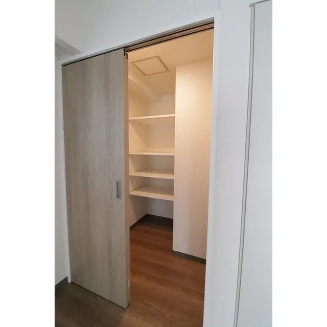 Livicourt Lower Case - Interior - ["Cabinetry", "Shelf", "Furniture"]