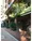 ASPRIME Hatchobori - Exterior - ["Plant", "Building", "Window"] thumbnail
