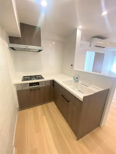 Lumiere Funabashi Room 502