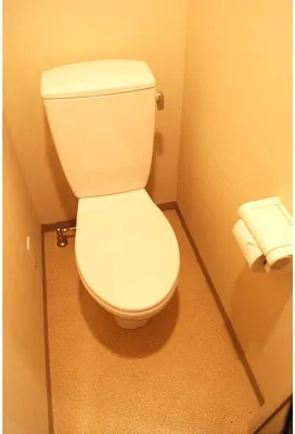 Phoenix Shiba Astrale - Interior - ["Toilet seat", "Toilet", "Floor"]