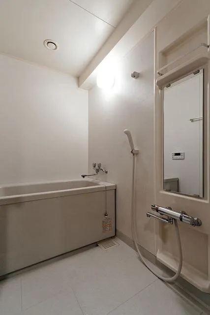 Astelion Shoto - Interior - ["Shower head", "Shower bar", "Plumbing fixture"]