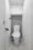 BRICK RESIDENCE Minamiaoyama - Interior - ["Toilet seat", "Toilet", "Plumbing fixture"] thumbnail