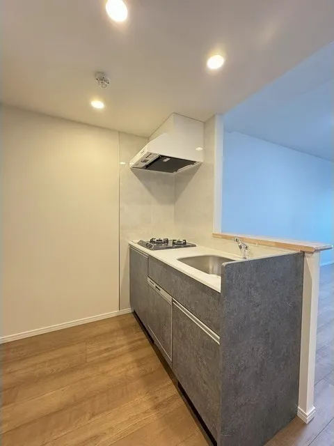 KDX Residence Kamiitabashi - Interior - ["Flooring", "Floor", "Countertop"]