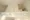 Prime Urban Ichigaya Nakanocho - Interior - ["Shade", "Fixture", "Wood"] thumbnail