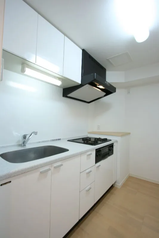 Castalia Hatsudai - Interior - ["Kitchen", "Kitchen Sink", "Interior design"]