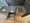 Blanchiesta Kiba - Interior - ["Countertop", "Flooring", "Kitchen"] thumbnail