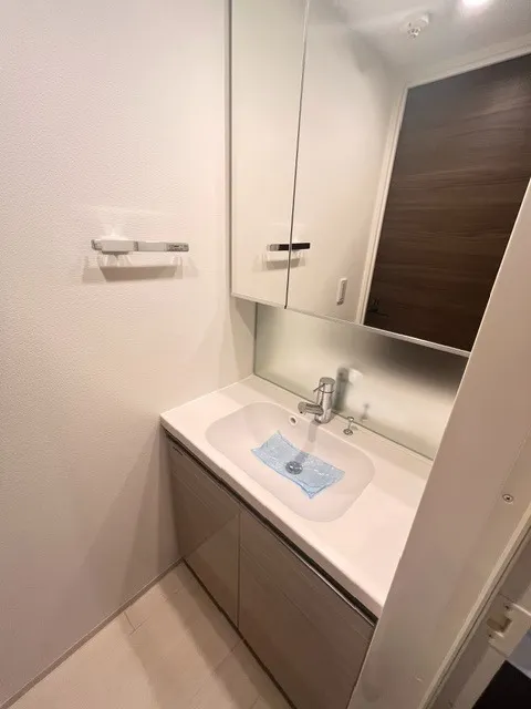 FORESTA Minatomachi - Interior - ["Flooring", "Floor", "Bathroom cabinet"]