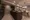 Terrace Shibuya Mitake thumbnail