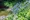 La Sante Ikedayama - Exterior - [] thumbnail
