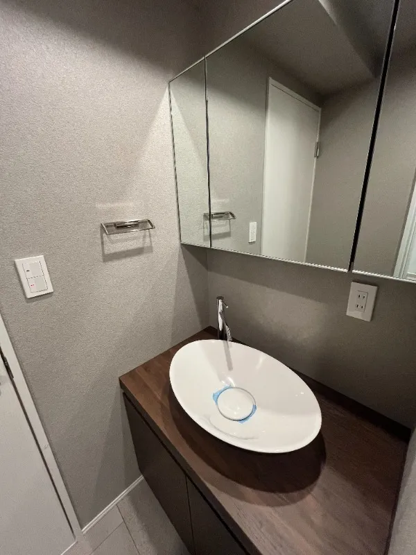 RESIDIA Bunkyo Yushima - Interior - ["Bathroom Sink", "Plumbing fixture", "Flooring"]