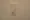 Green Homes 2 - Interior - ["Rectangle", "Fixture", "Light switch"] thumbnail