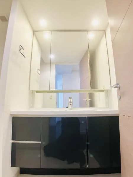 Brillia Ist Sangenjaya Ivy Terrace - Interior - ["Wall", "Bathroom Sink", "Interior design"]