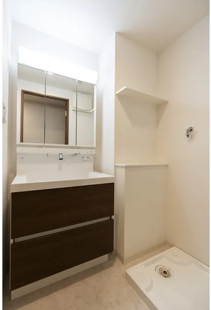 N's PARK Residence Takadanobaba - Interior - ["Flooring", "Bathroom Sink", "Bathroom cabinet"]