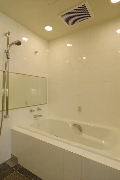 La Tour Shiodome - Interior - ["Brown", "Bathtub", "Plumbing fixture"]