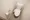 Hmlet Kitashinjuku - Interior - ["Toilet seat", "Toilet", "Plumbing fixture"] thumbnail