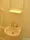 Fortrus Itabashi Honcho - Interior - ["Plumbing fixture", "Bathroom", "Bathroom Sink"] thumbnail