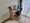 Mynavi STAY Miraie Suehirocho - Interior - [] thumbnail
