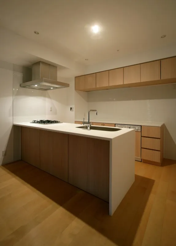 Castalia Hatsudai II - Interior - ["Cabinetry", "Tap", "Countertop"]