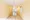 Tokyo Toritsu Daigaku Pare Hills - Interior - ["Flooring", "Floor", "Ceiling"] thumbnail