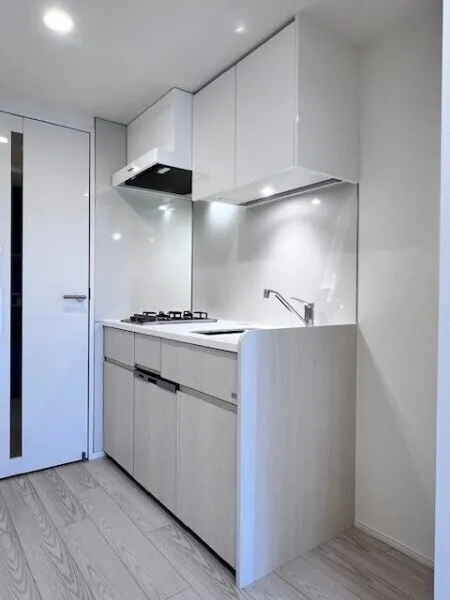 Brillia Ist Oimachi - Interior - ["Kitchen", "Major appliance", "Countertop"]