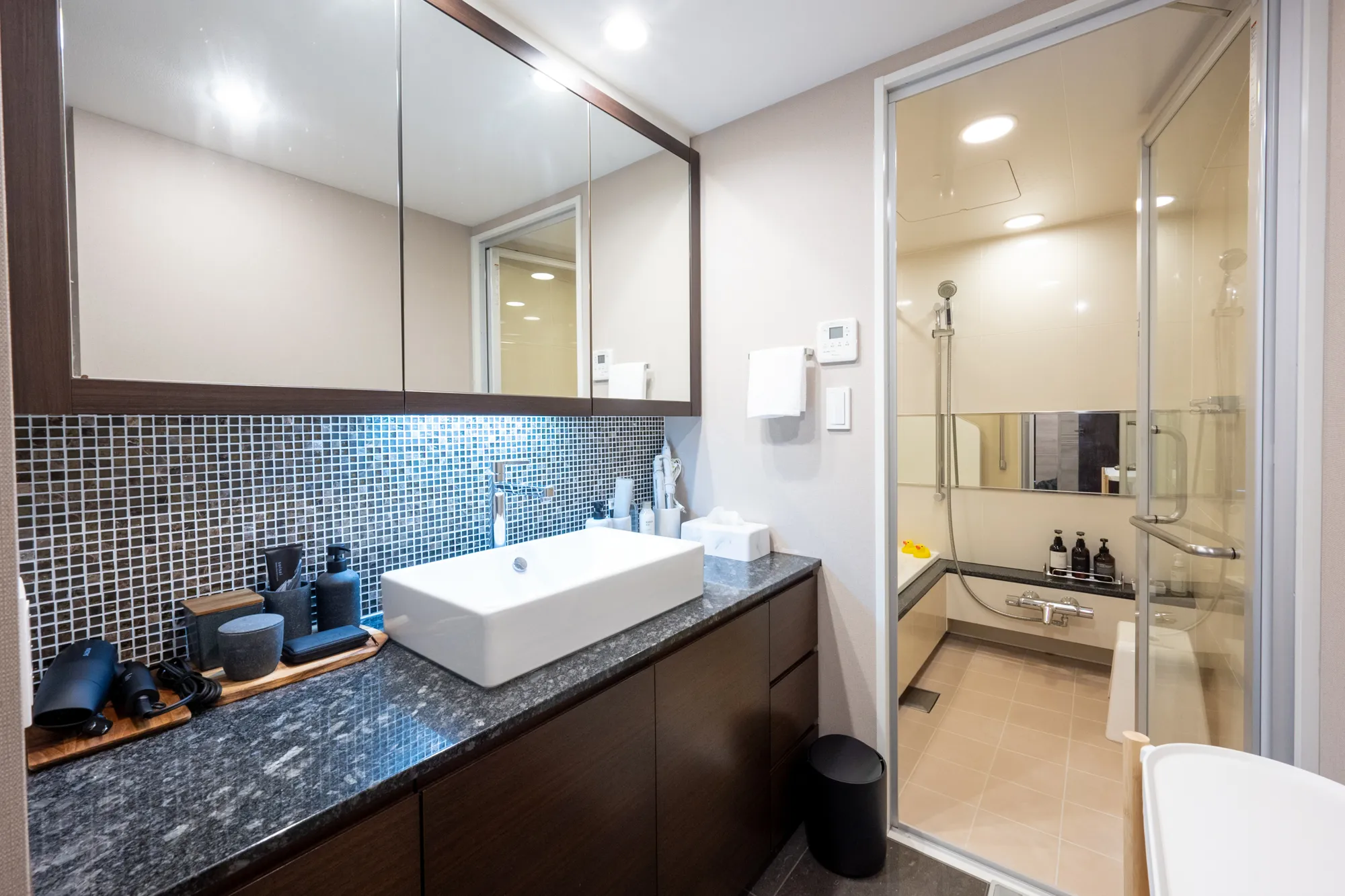 City Tower Shirokane - Interior - ["Mirror", "Tap", "Sink"]