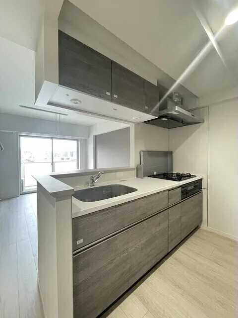 Alpha Court Kasai - Interior - ["Countertop", "Kitchen", "Flooring"]