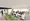 Azalea City Ageo 1-103 thumbnail