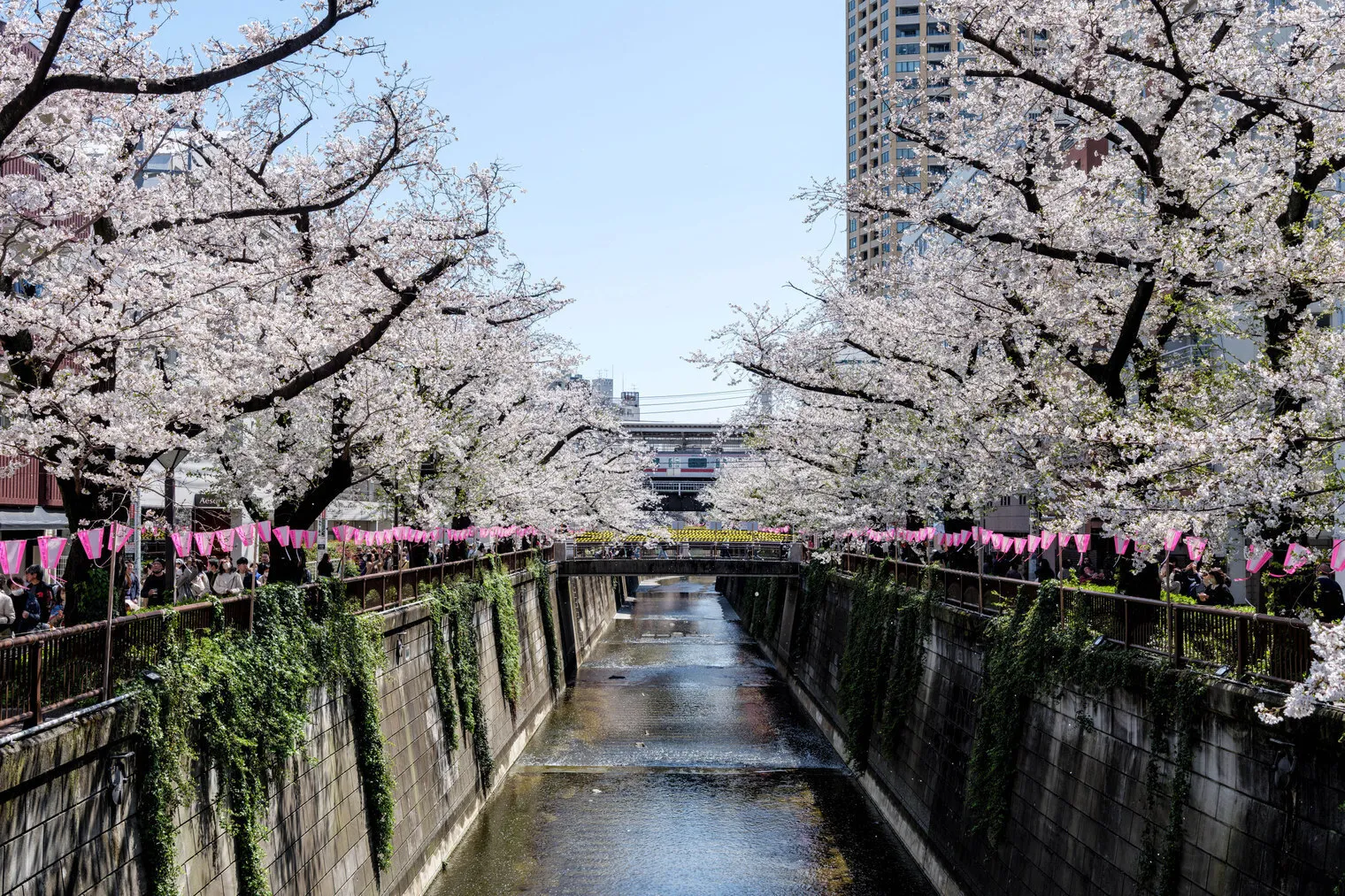 Prime Urban Meguro Riverfront - Exterior - []
