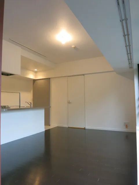 Will Terrace Kachidoki - Interior - ["Lighting", "Wood", "Interior design"]