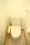 Royal Palace Nakano Sakaue - Interior - ["Toilet seat", "Toilet", "Bathroom"] thumbnail