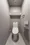 Terra Silk Forest - Interior - ["Toilet seat", "Toilet", "Flooring"] thumbnail