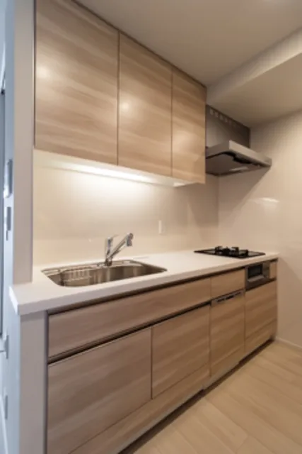 Park Homes Higashinakano - Interior - ["Cabinetry", "Tap", "Kitchen sink"]
