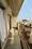 Kugayama Apartment - Other - ["Apartment", "Floor", "Balcony"] thumbnail