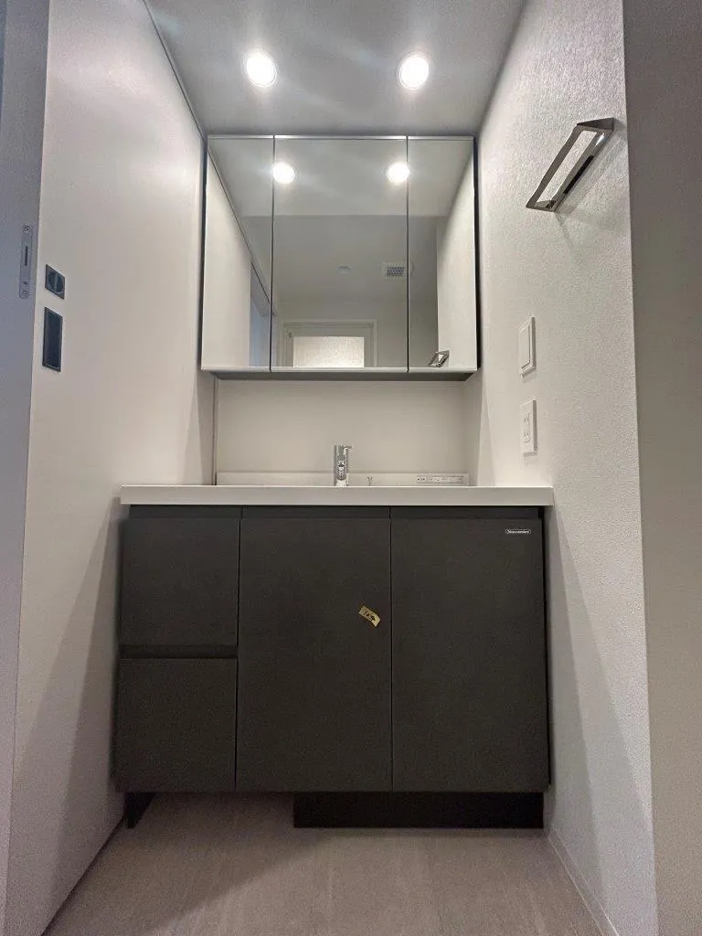 JMF Residence Kuramae Torigoe - Interior - ["Cabinetry", "Mirror", "Furniture"]