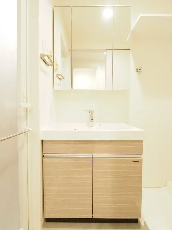 Due Iriya I - Interior - ["Mirror", "Bathroom cabinet", "Cabinetry"]