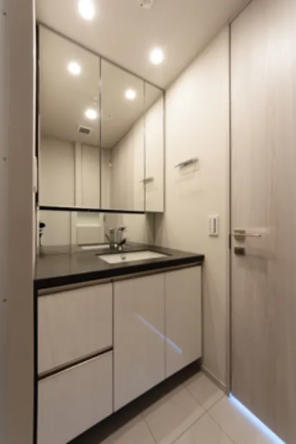The Parkhouse Togoshi Park Tower - Interior - ["Tap", "Sink", "Cabinetry"]