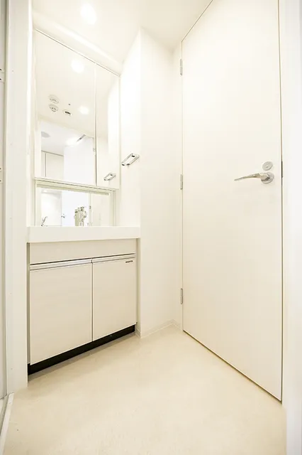 Lions Forsia Kiyosumi Shirakawa - Interior - ["Mirror", "Handle", "Bathroom cabinet"]
