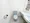 Mynavi STAY Flumen Meguro - Interior - ["Toilet seat", "Bathroom", "Plumbing fixture"] thumbnail