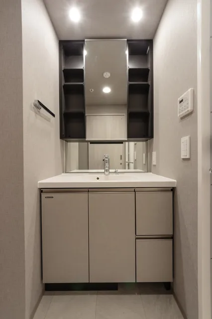 Terra Silk Forest - Interior - ["Flooring", "Bathroom cabinet", "Floor"]