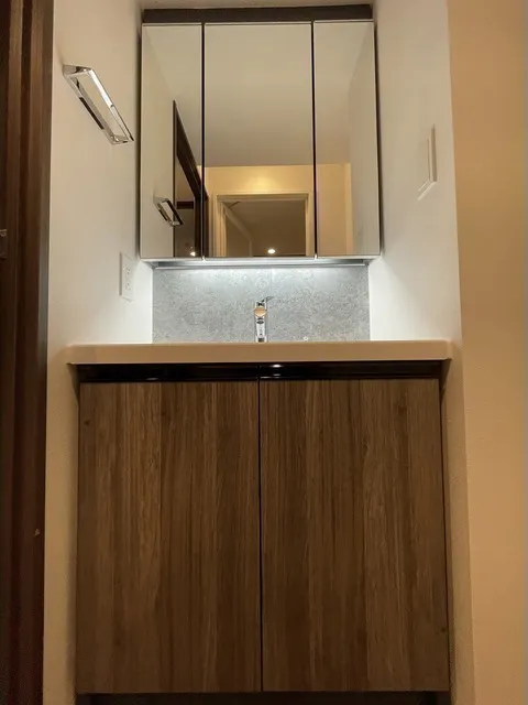 Comforia Liv Minamishinagawa - Interior - ["Wood", "Bathroom cabinet", "Bathroom Sink"]