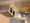 Doue Ryogoku III - Interior - ["Wood", "Flooring", "Interior design"] thumbnail