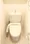 Concieria Shiba Park - Interior - ["Toilet seat", "Plumbing fixture", "Toilet"] thumbnail