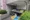 Santo Core Meguro - Other - ["Pet Supply", "Animal shelter", "Mesh"] thumbnail