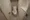 Dimus Kitahama - Interior - ["Toilet seat", "Floor", "Toilet"] thumbnail