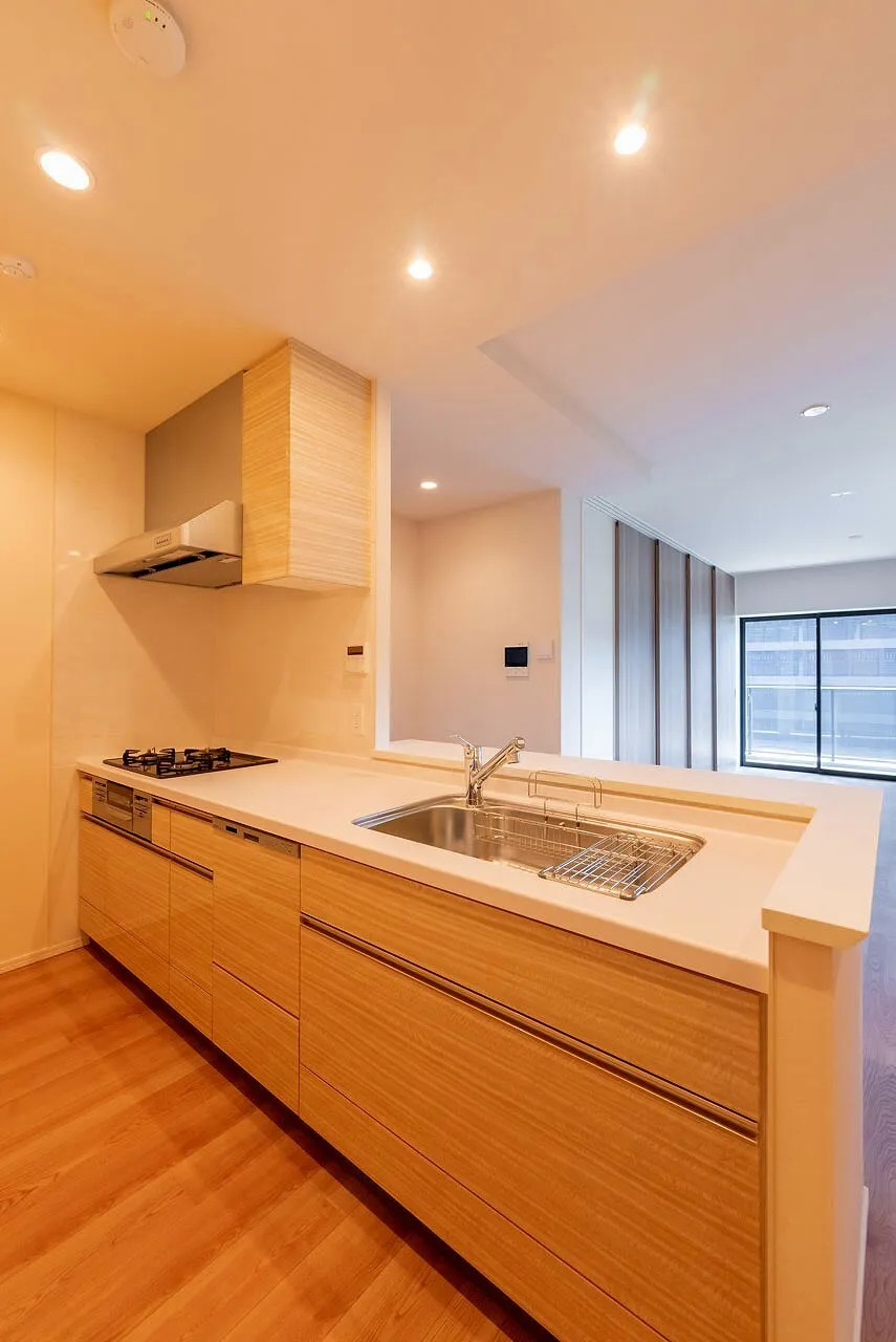 Mita Hijirizaka Garden Residence - Interior - ["Tap", "Plumbing fixture", "Countertop"]