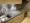 Wellis Daikanyama Sarugakucho Terrace - Interior - ["Kitchen", "Countertop", "Kitchen Sink"] thumbnail